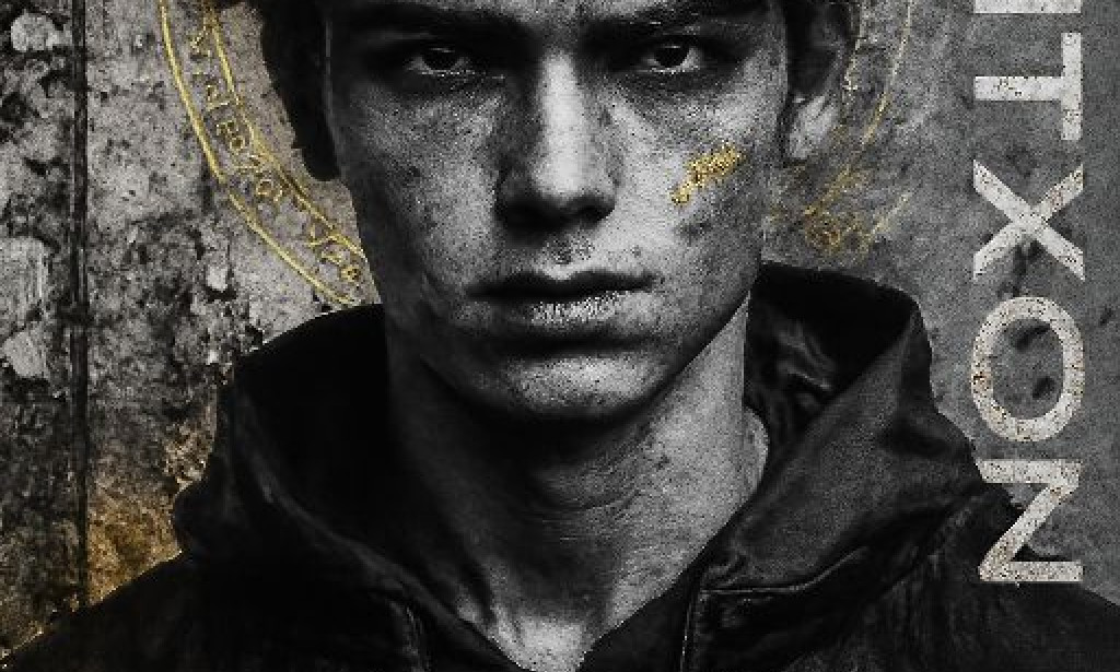 تصميم صور بتطبيق chatgpt