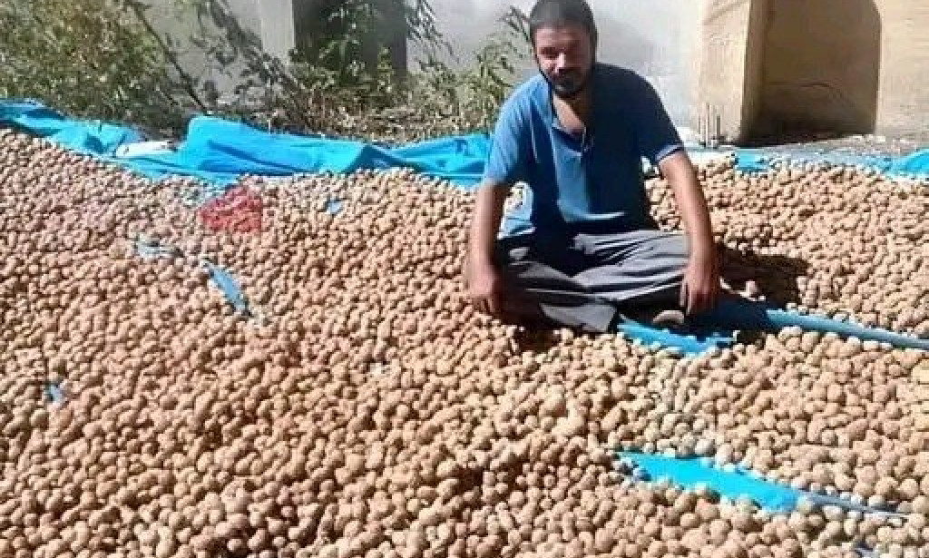 قصة معبرة عن الصبر