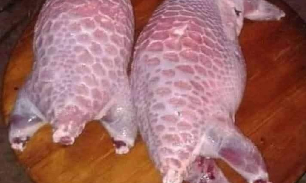 قصة مفاجأة في محل القصاب