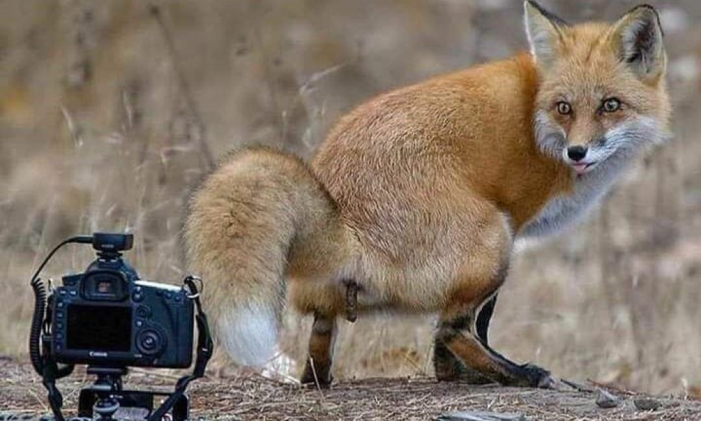 حكاية امرأة وعهد غامض