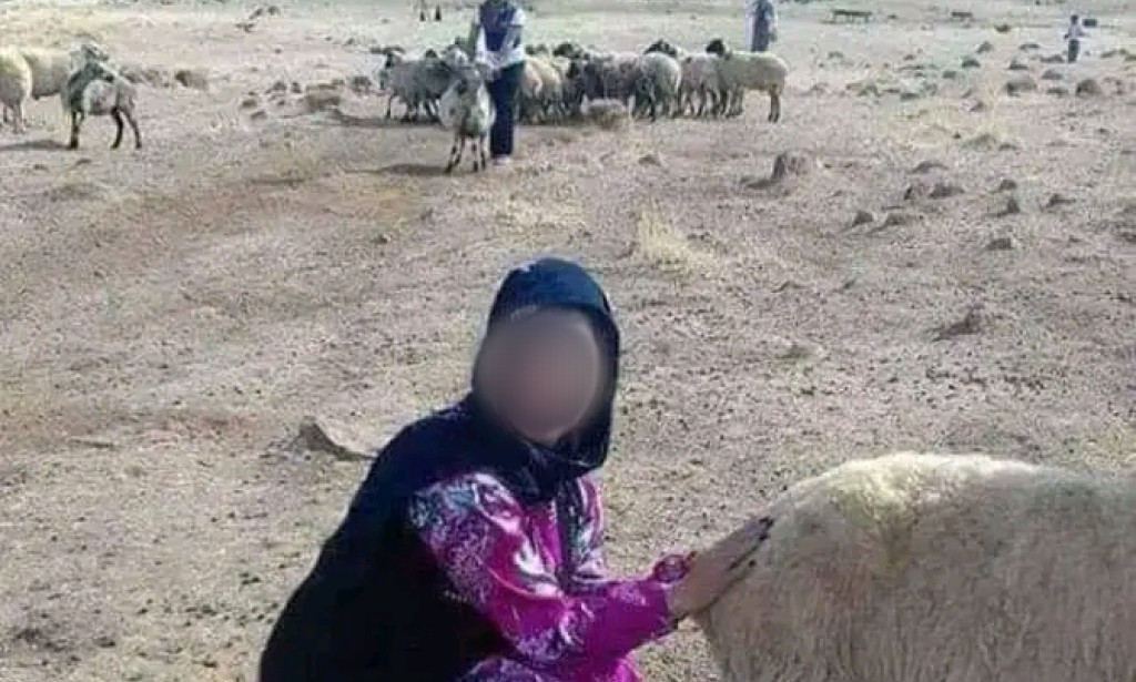 قصة الشيخ والفتاة