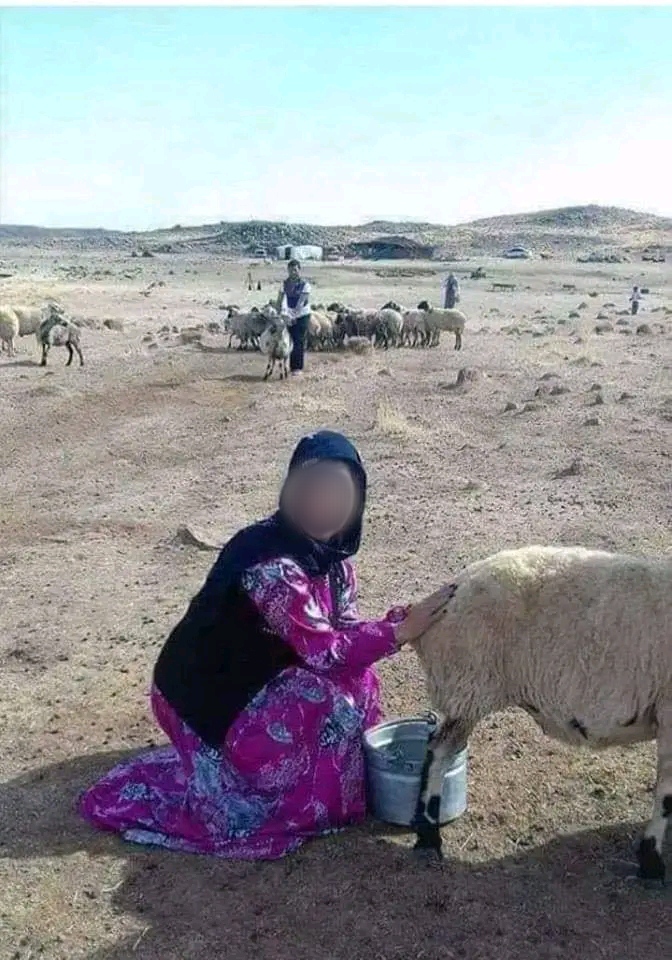 قصة الشيخ والفتاة