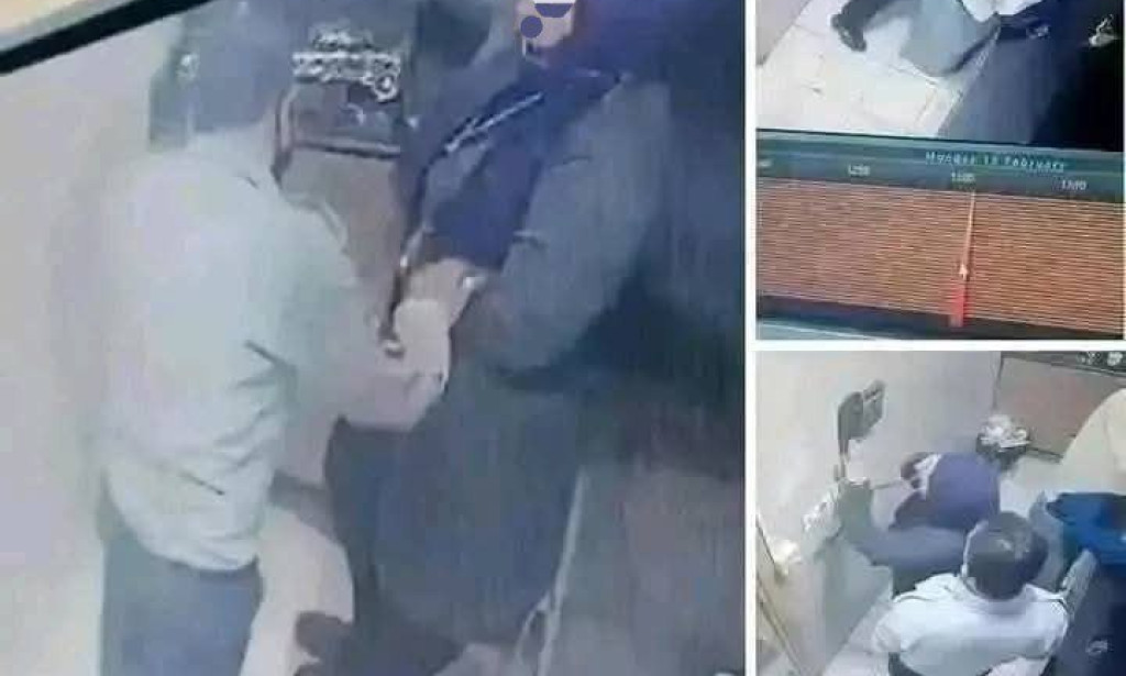 قصة هناء بين البشر والكاميرات